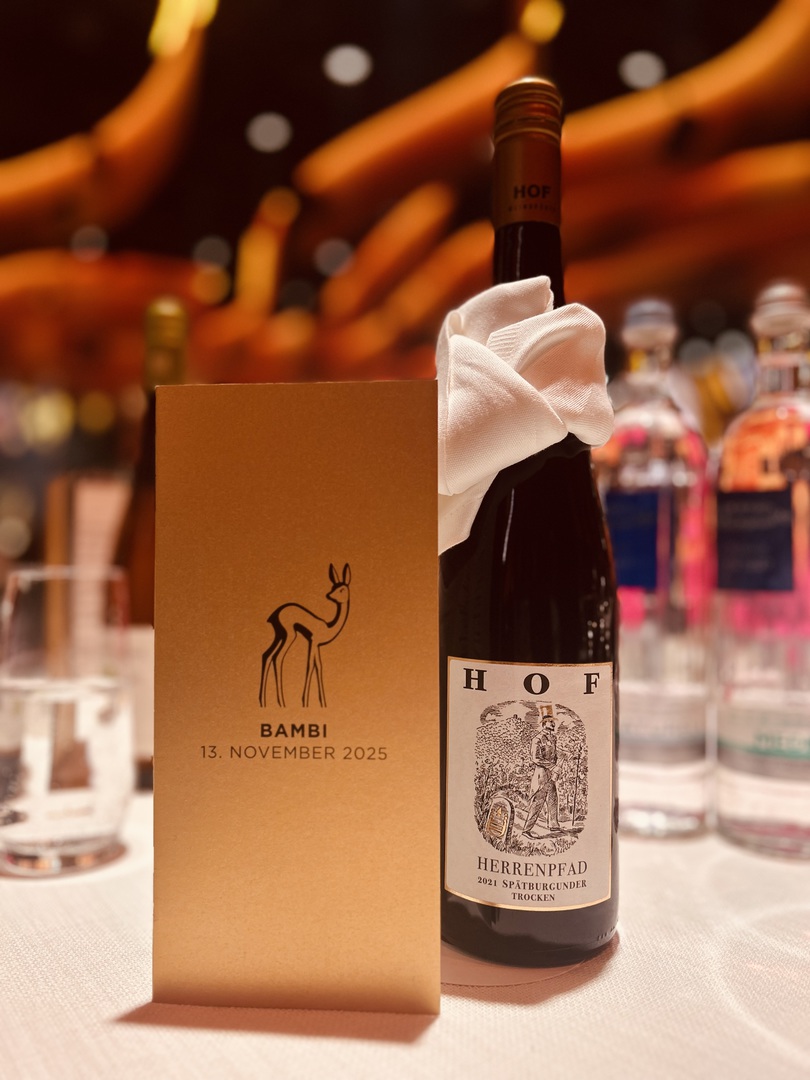 Bambi-Verleihung 2025 - München